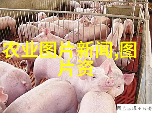 国际工商界代表